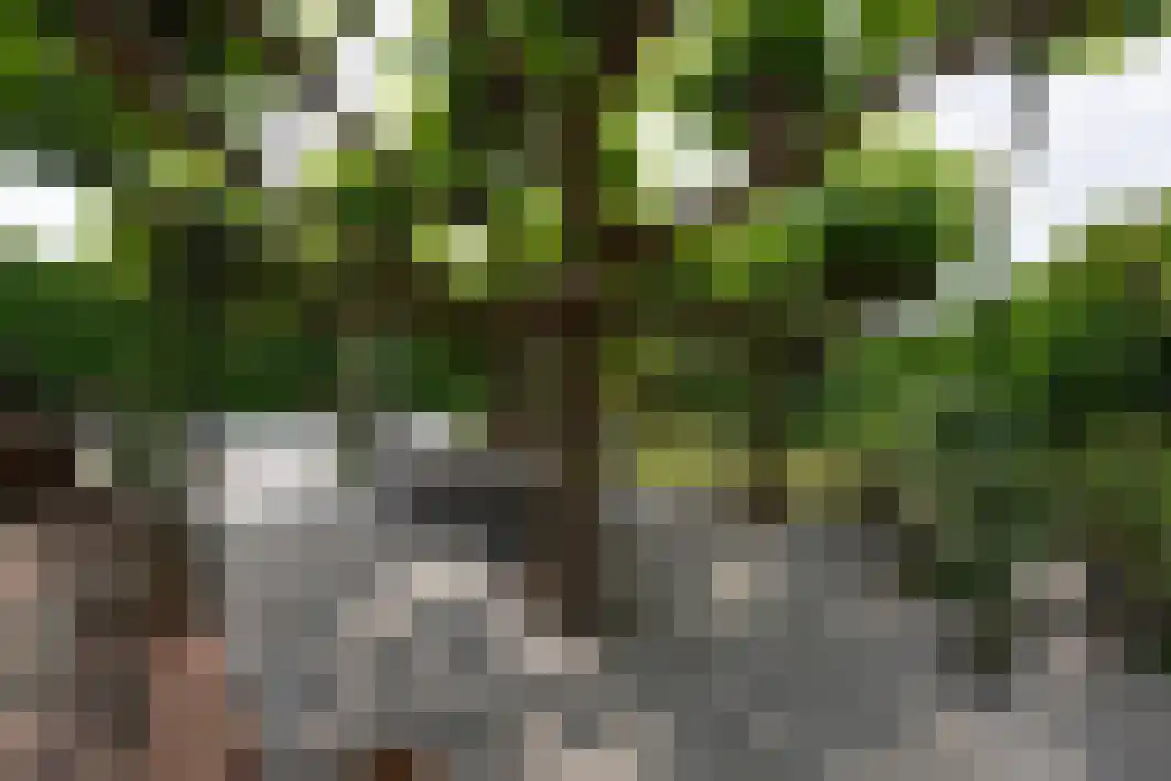 Pannenschuurlaan 201 Oisterwijk thumbnail 30