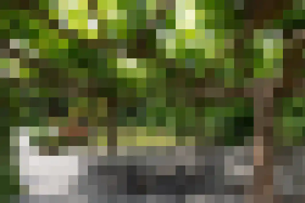 Pannenschuurlaan 201 Oisterwijk thumbnail 31