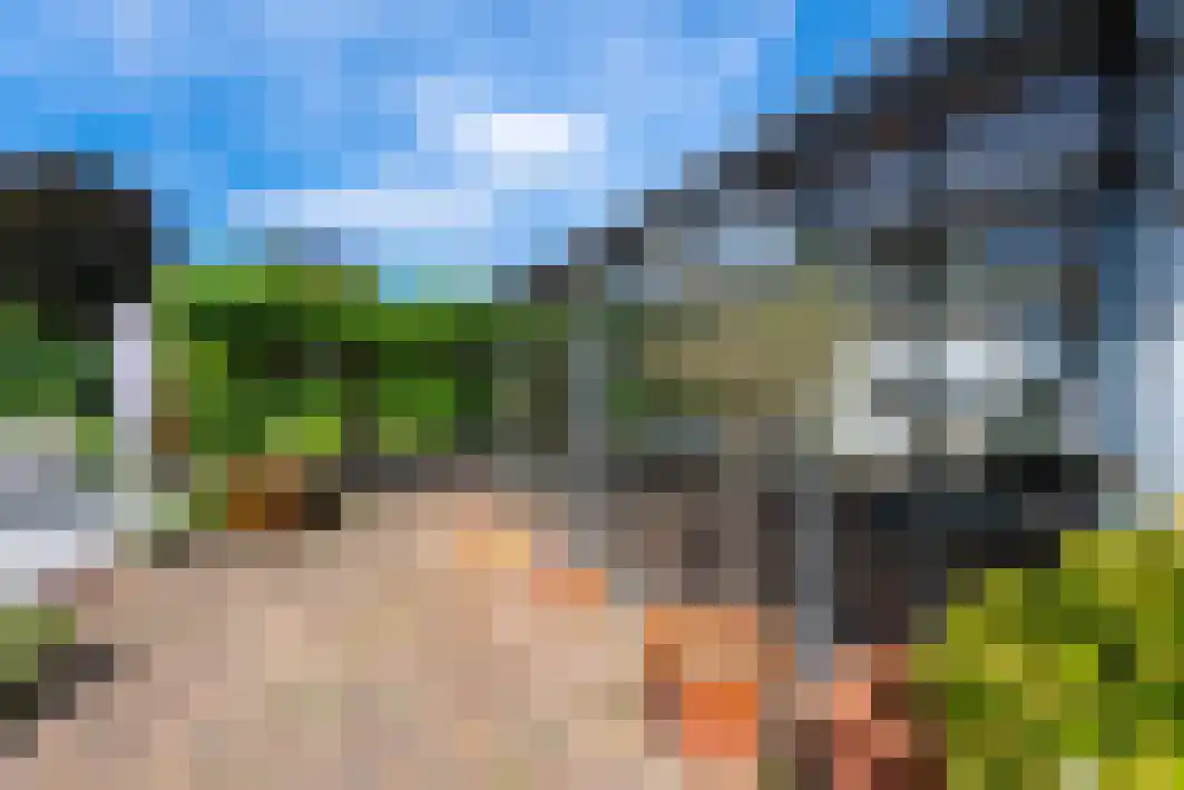 Pannenschuurlaan 201 Oisterwijk thumbnail 32