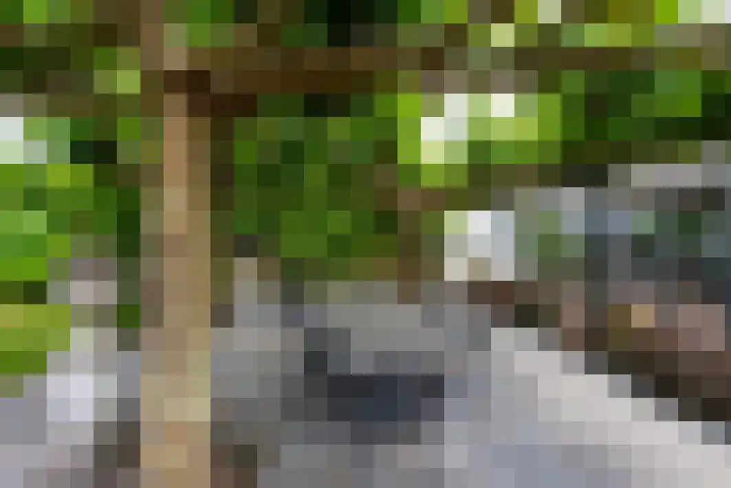 Pannenschuurlaan 201 Oisterwijk thumbnail 33