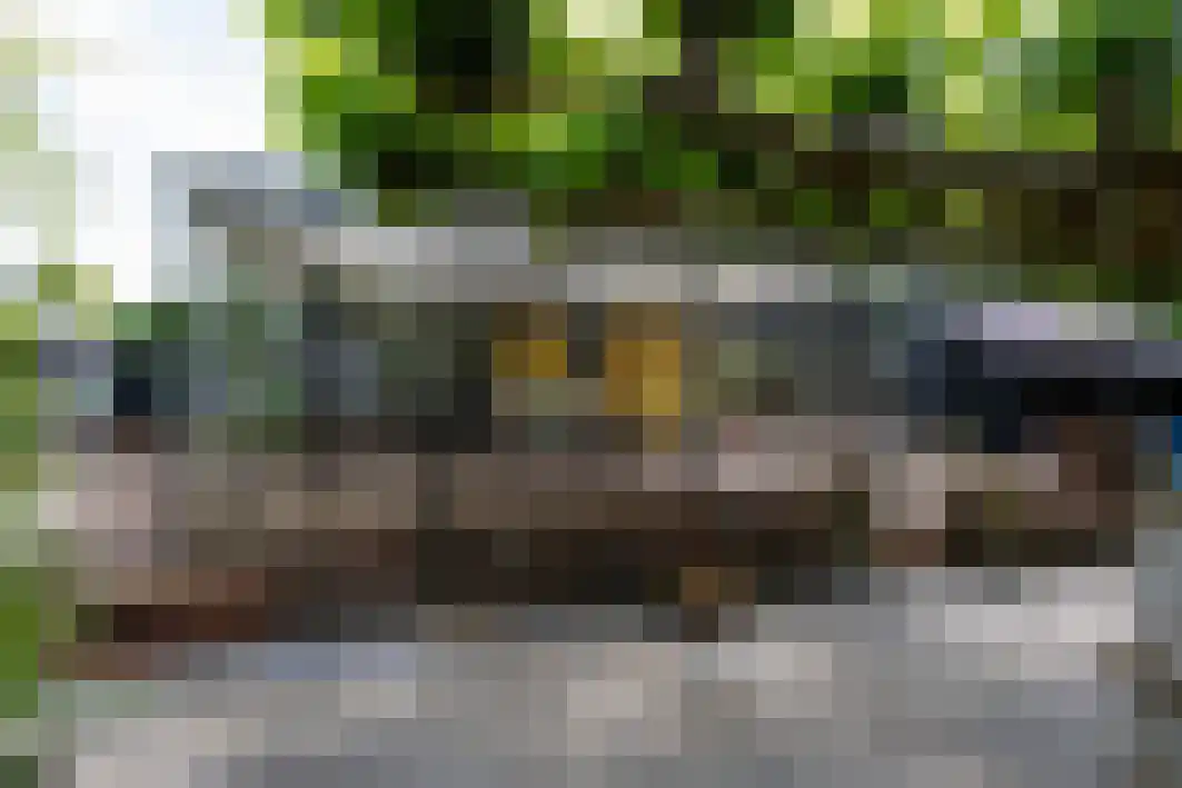 Pannenschuurlaan 201 Oisterwijk thumbnail 34
