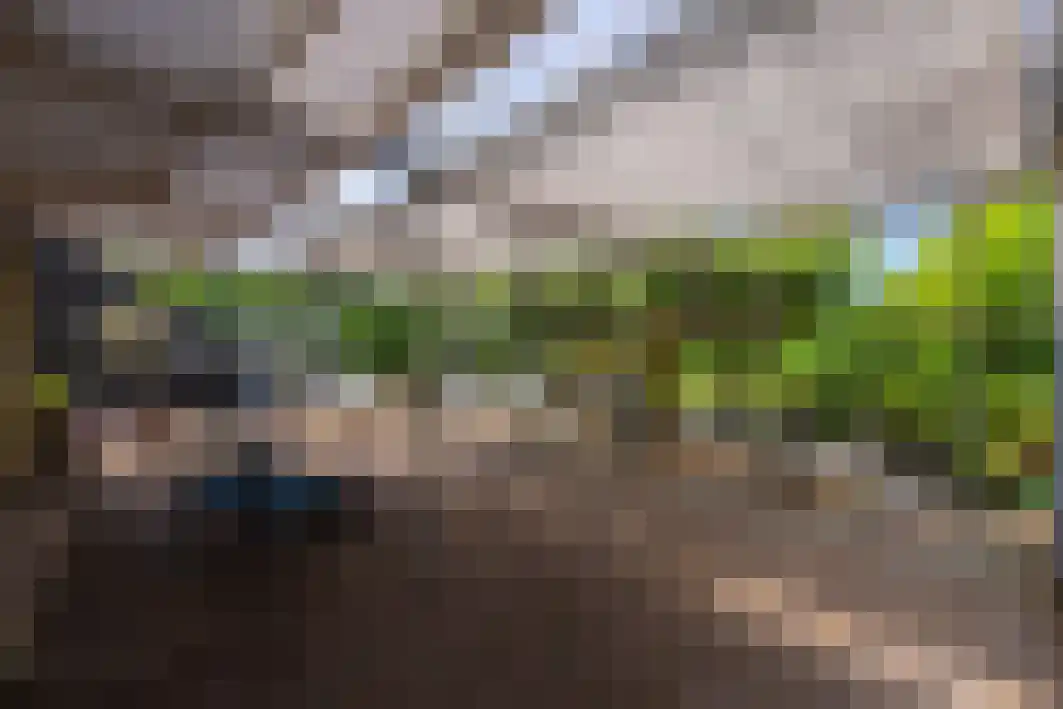 Pannenschuurlaan 201 Oisterwijk thumbnail 35
