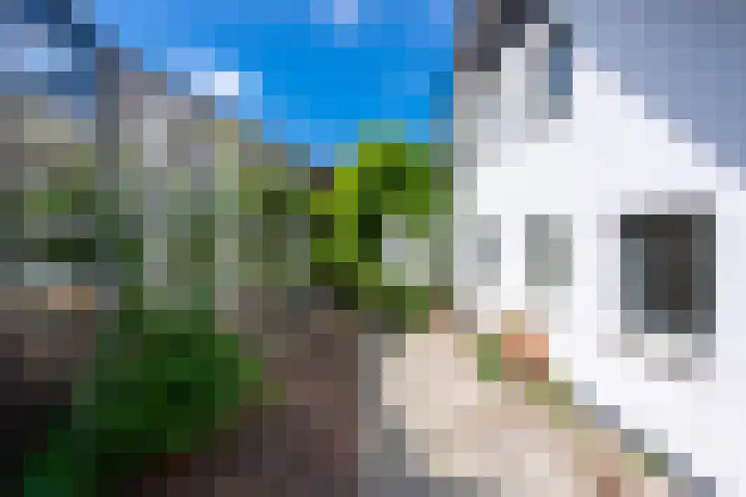 Pannenschuurlaan 201 Oisterwijk thumbnail 36