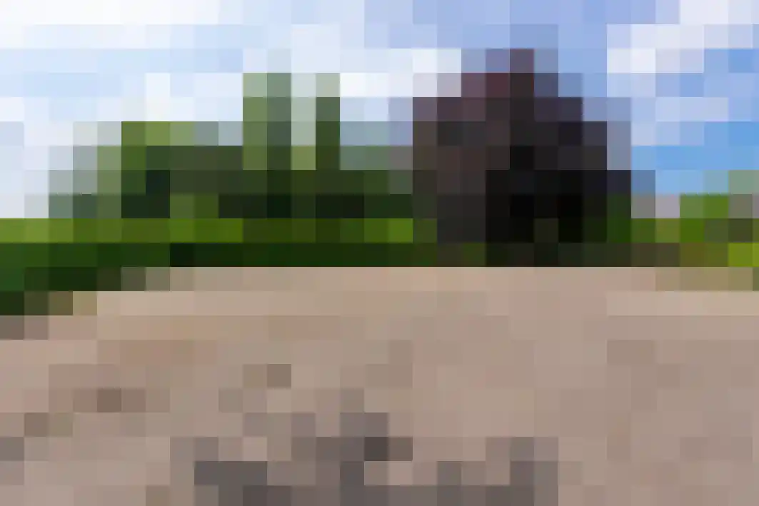 Pannenschuurlaan 201 Oisterwijk thumbnail 45