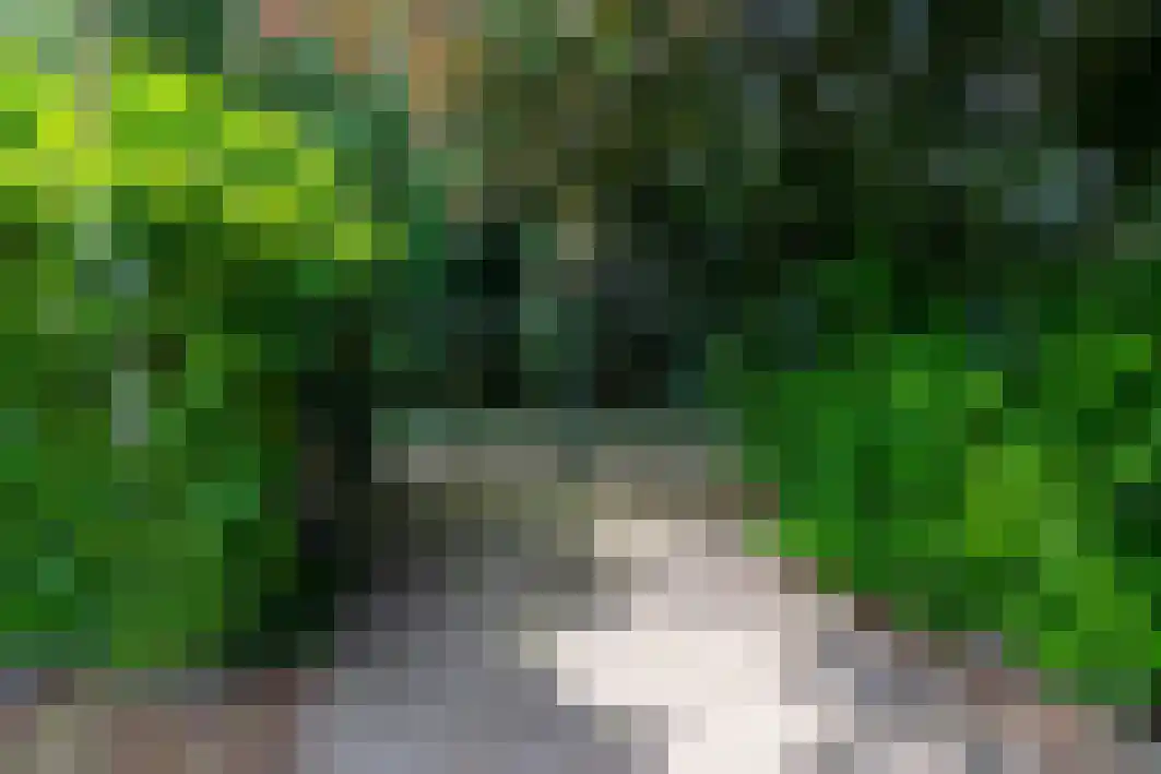 Pannenschuurlaan 201 Oisterwijk thumbnail 48