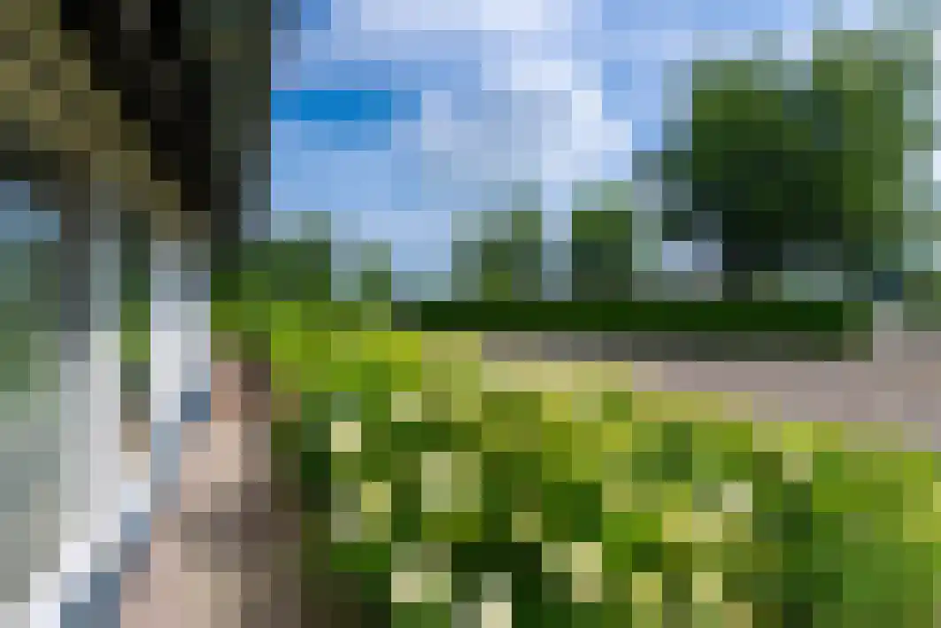 Pannenschuurlaan 201 Oisterwijk thumbnail 49