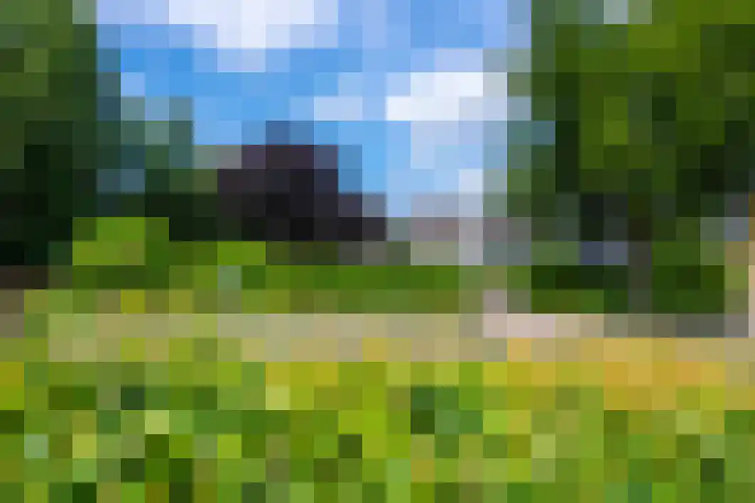 Pannenschuurlaan 201 Oisterwijk thumbnail 6