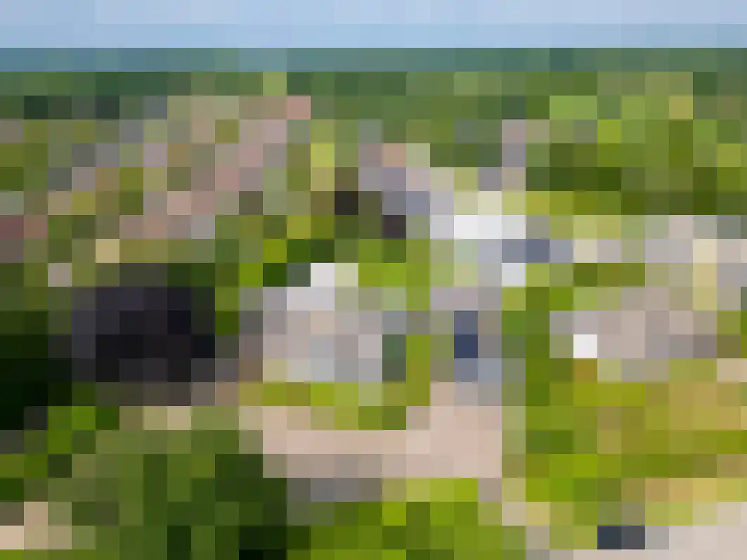 Pannenschuurlaan 201 Oisterwijk thumbnail 60