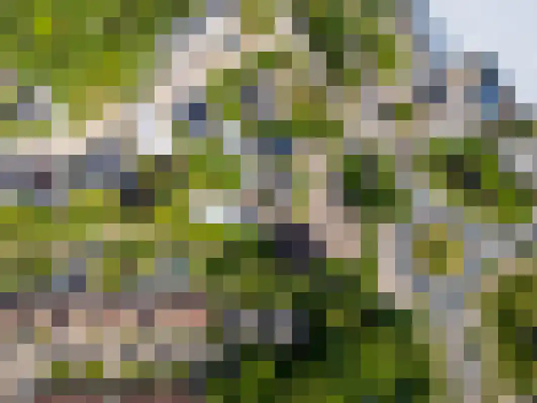 Pannenschuurlaan 201 Oisterwijk thumbnail 61