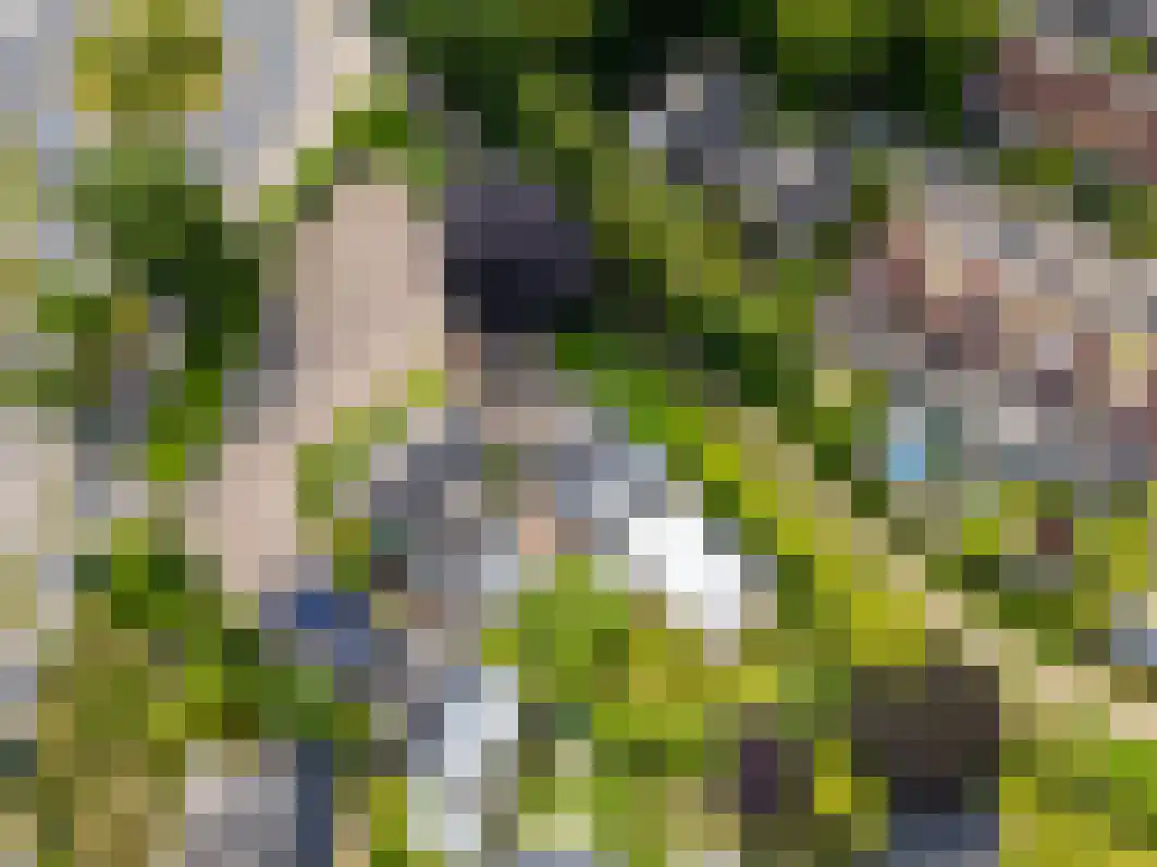 Pannenschuurlaan 201 Oisterwijk thumbnail 62