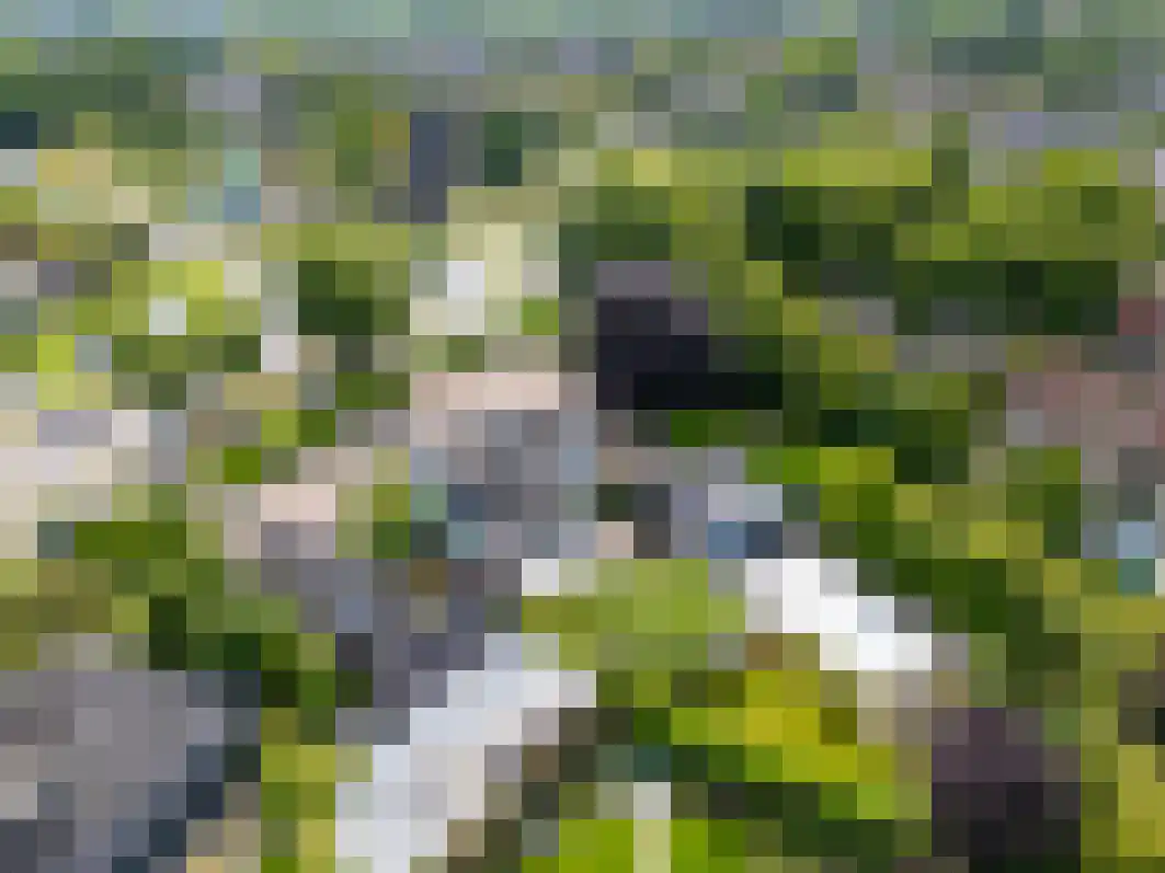 Pannenschuurlaan 201 Oisterwijk thumbnail 63