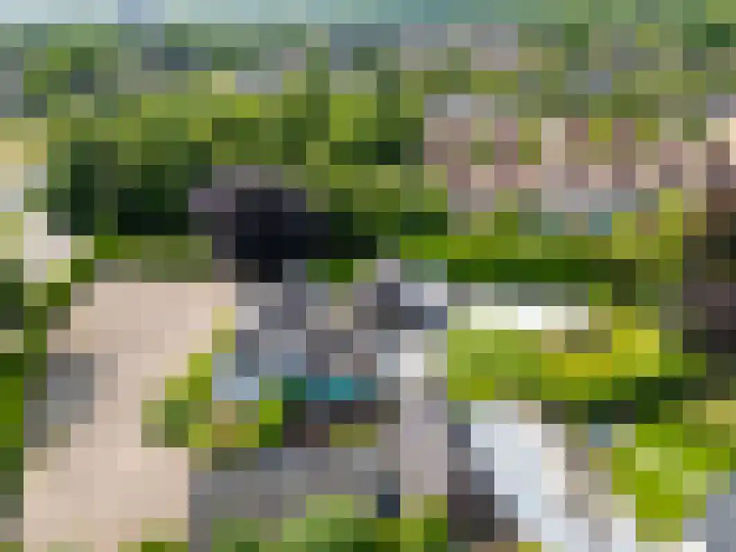 Pannenschuurlaan 201 Oisterwijk thumbnail 64