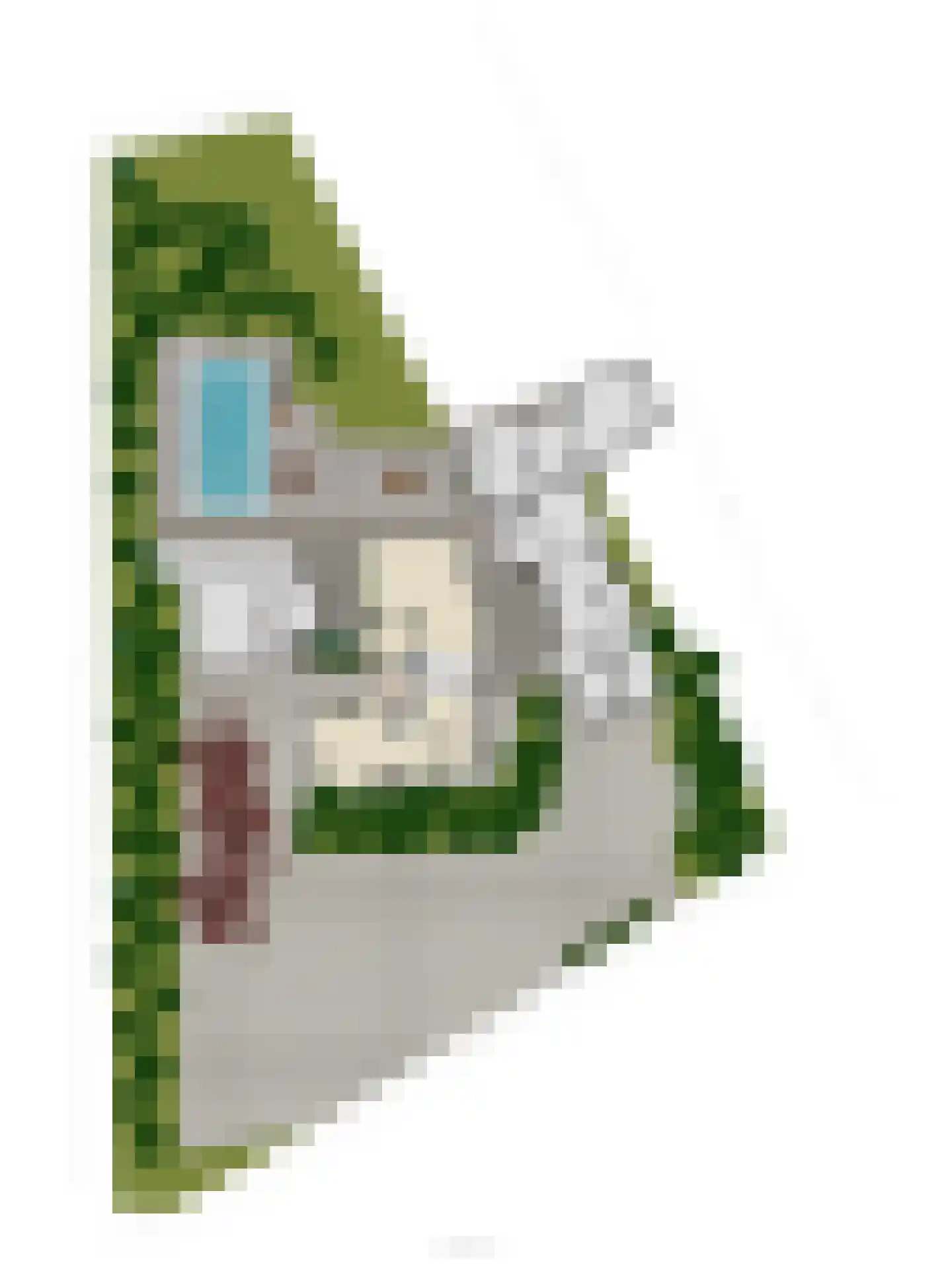 Pannenschuurlaan 201 Oisterwijk thumbnail 72