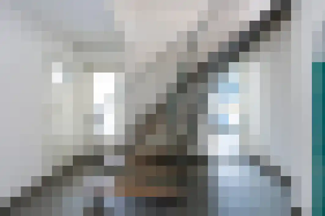 Pannenschuurlaan 201 Oisterwijk thumbnail 9