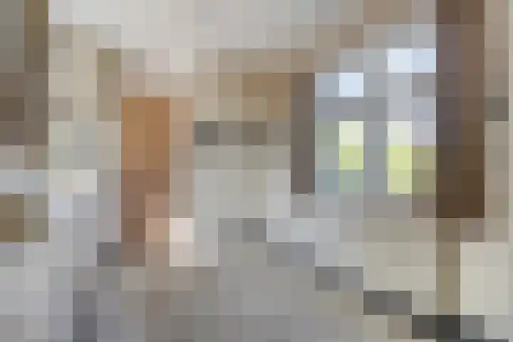 Pannenschuurlaan 207 Oisterwijk thumbnail 12