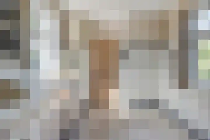 Pannenschuurlaan 207 Oisterwijk thumbnail 13
