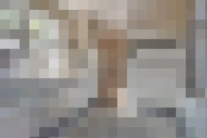 Pannenschuurlaan 207 Oisterwijk thumbnail 14