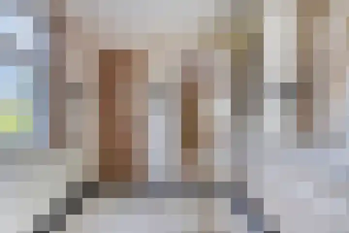 Pannenschuurlaan 207 Oisterwijk thumbnail 15