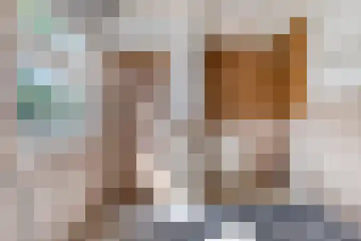 Pannenschuurlaan 207 Oisterwijk thumbnail 16