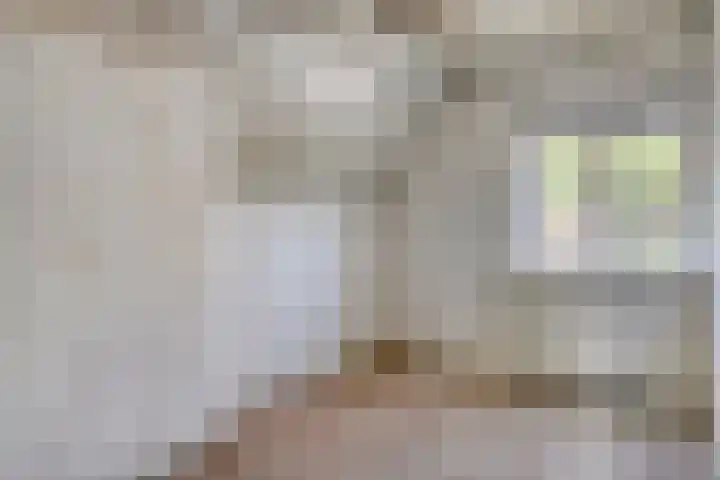 Pannenschuurlaan 207 Oisterwijk thumbnail 23