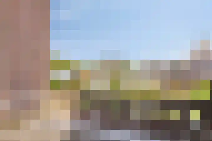 Pannenschuurlaan 207 Oisterwijk thumbnail 25