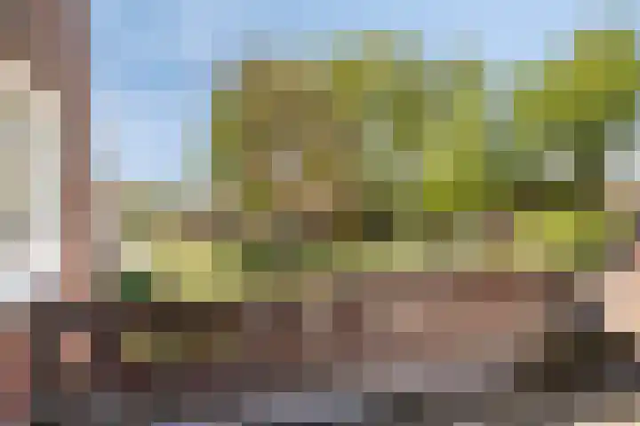 Pannenschuurlaan 207 Oisterwijk thumbnail 26