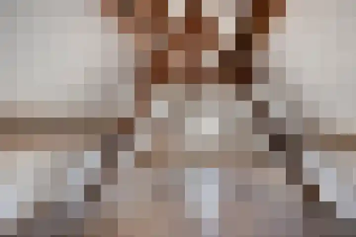Pannenschuurlaan 207 Oisterwijk thumbnail 27
