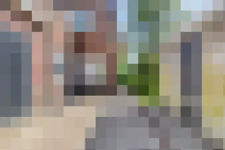 Pannenschuurlaan 207 Oisterwijk thumbnail 28