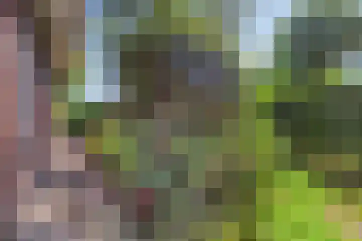 Pannenschuurlaan 207 Oisterwijk thumbnail 29