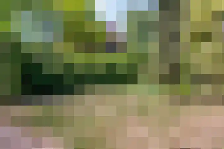 Pannenschuurlaan 207 Oisterwijk thumbnail 31