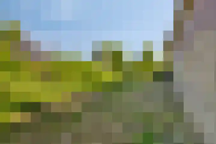 Pannenschuurlaan 207 Oisterwijk thumbnail 32