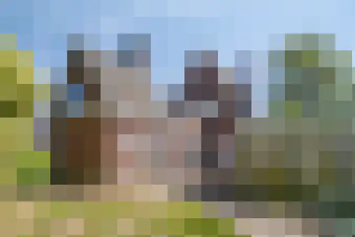 Pannenschuurlaan 207 Oisterwijk thumbnail 33