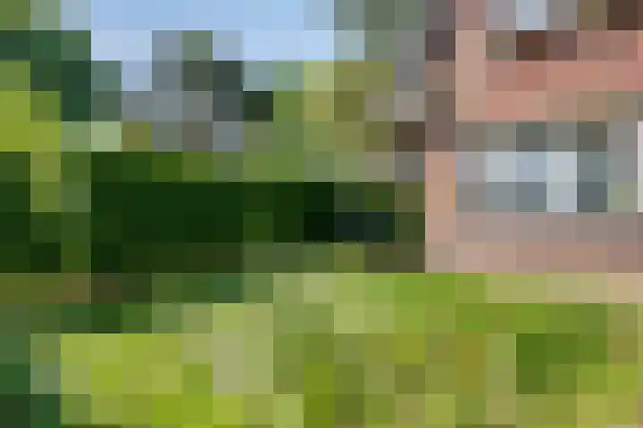 Pannenschuurlaan 207 Oisterwijk thumbnail 34