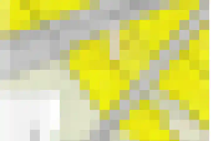 Pannenschuurlaan 207 Oisterwijk thumbnail 36