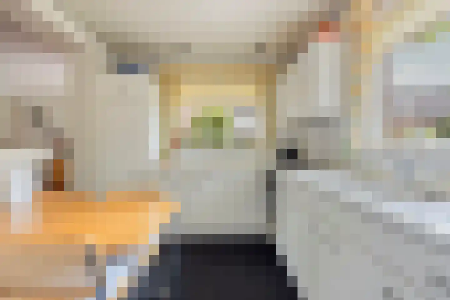 Pannenschuurlaan 25 Oisterwijk thumbnail 11