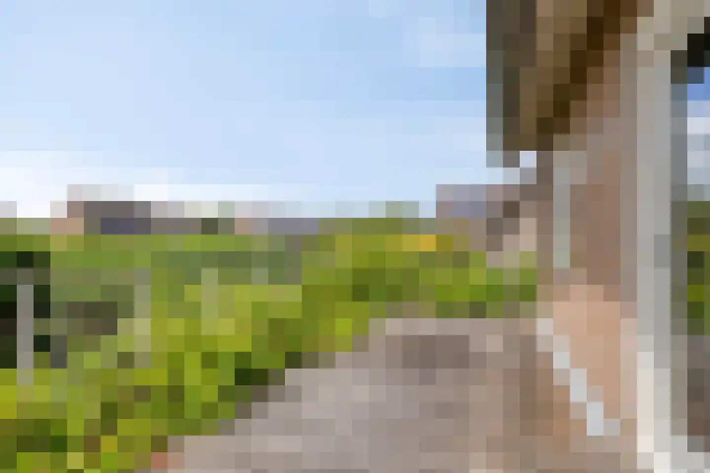 Pannenschuurlaan 25 Oisterwijk thumbnail 22