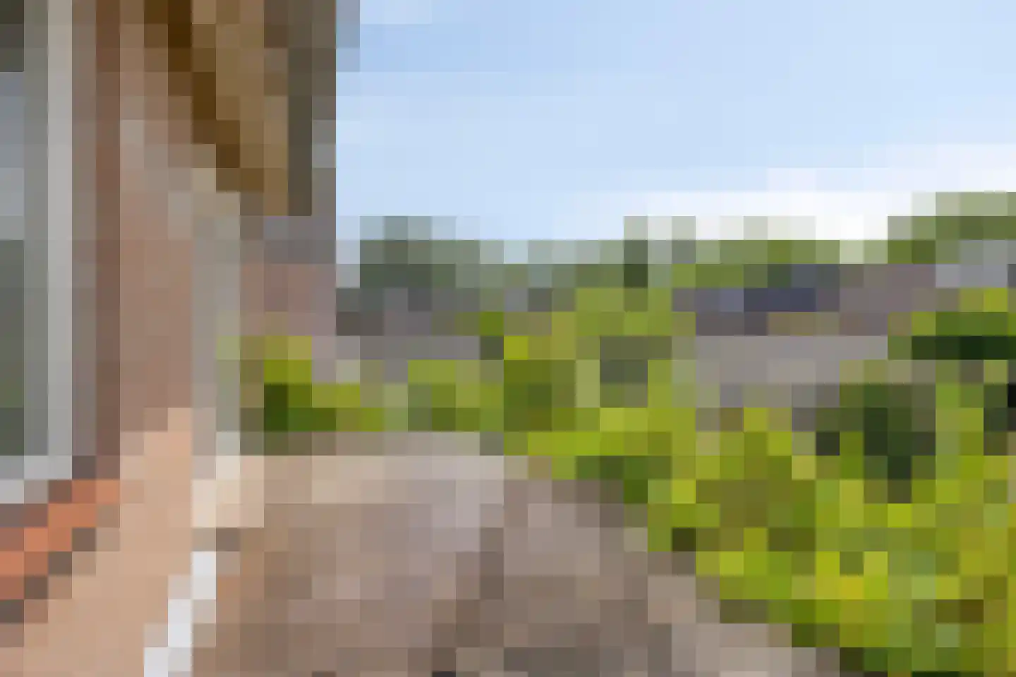 Pannenschuurlaan 25 Oisterwijk thumbnail 23