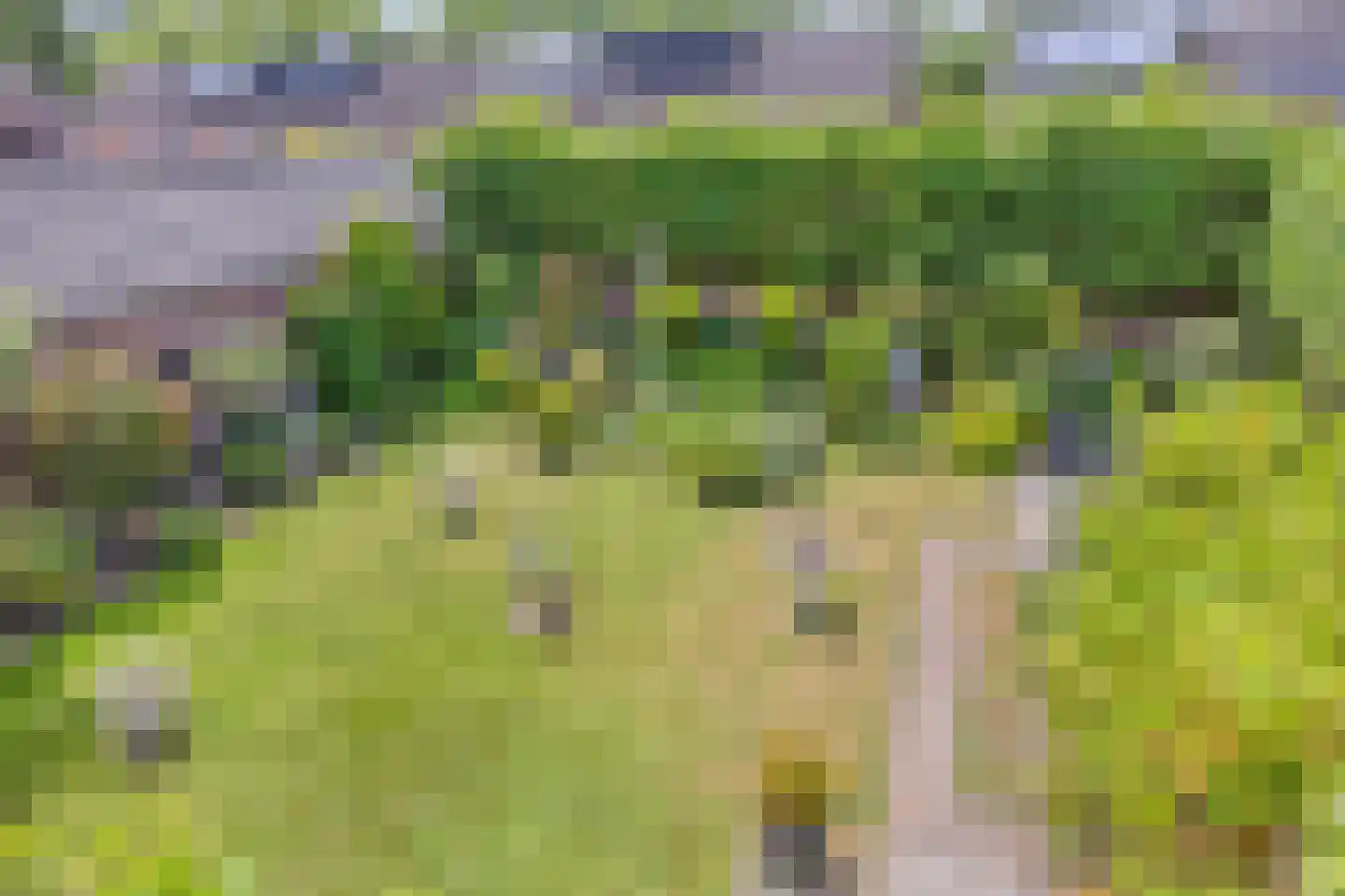 Pannenschuurlaan 25 Oisterwijk thumbnail 24