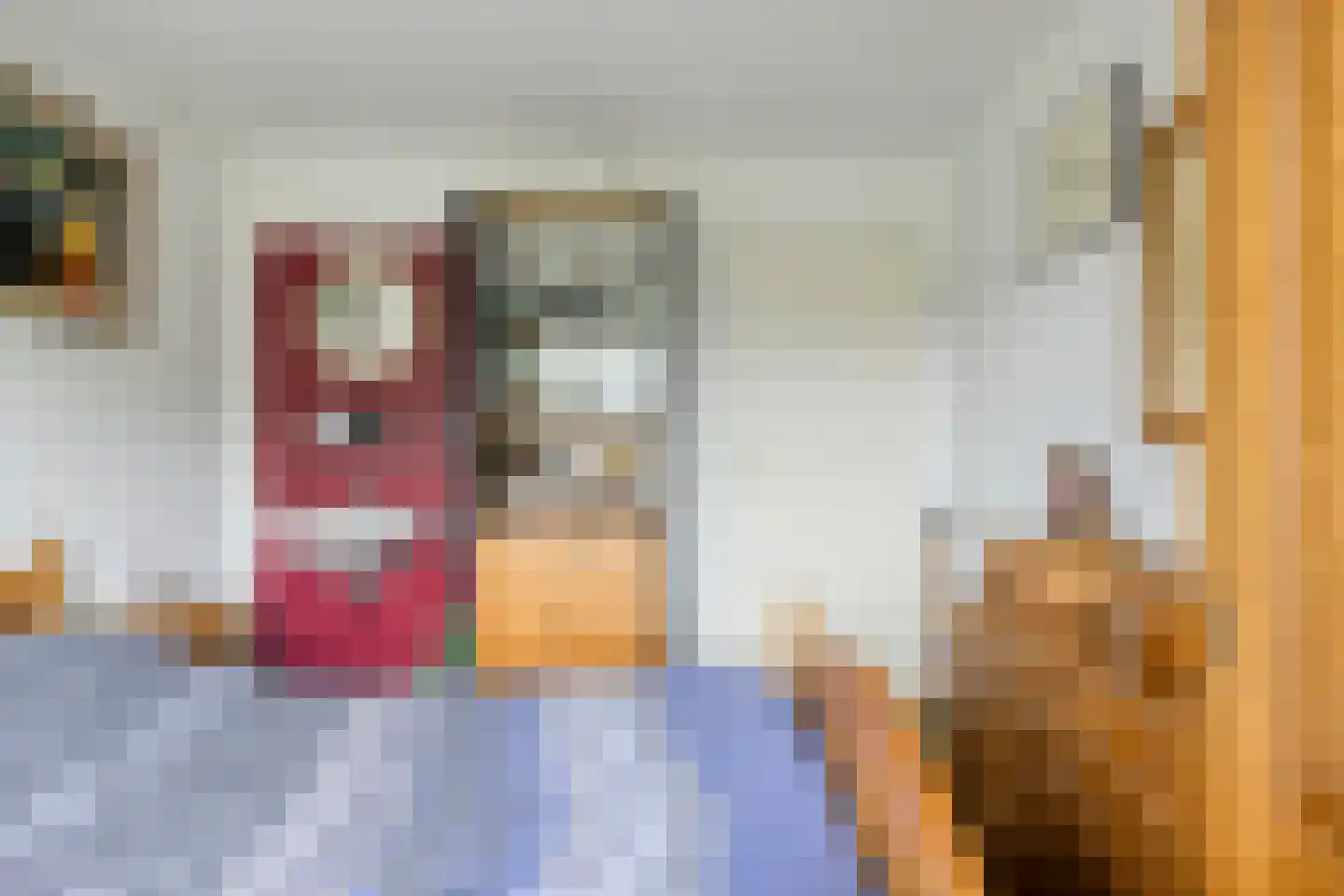 Pannenschuurlaan 25 Oisterwijk thumbnail 26
