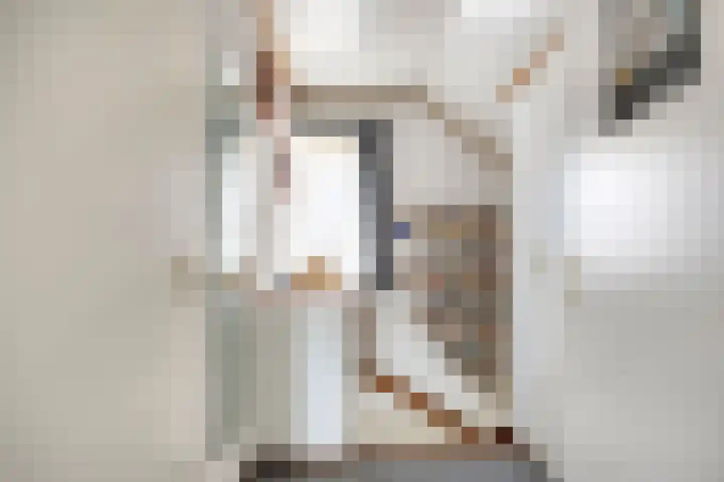 Pannenschuurlaan 25 Oisterwijk thumbnail 30