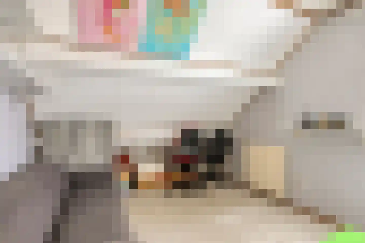 Pannenschuurlaan 25 Oisterwijk thumbnail 34