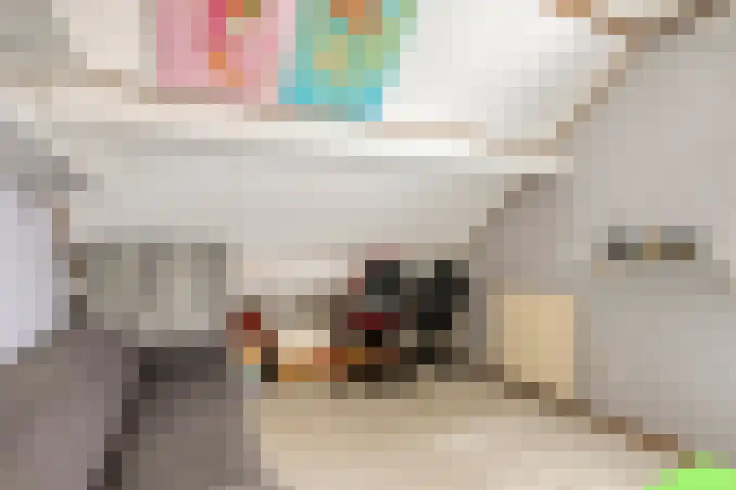 Pannenschuurlaan 25 Oisterwijk thumbnail 35