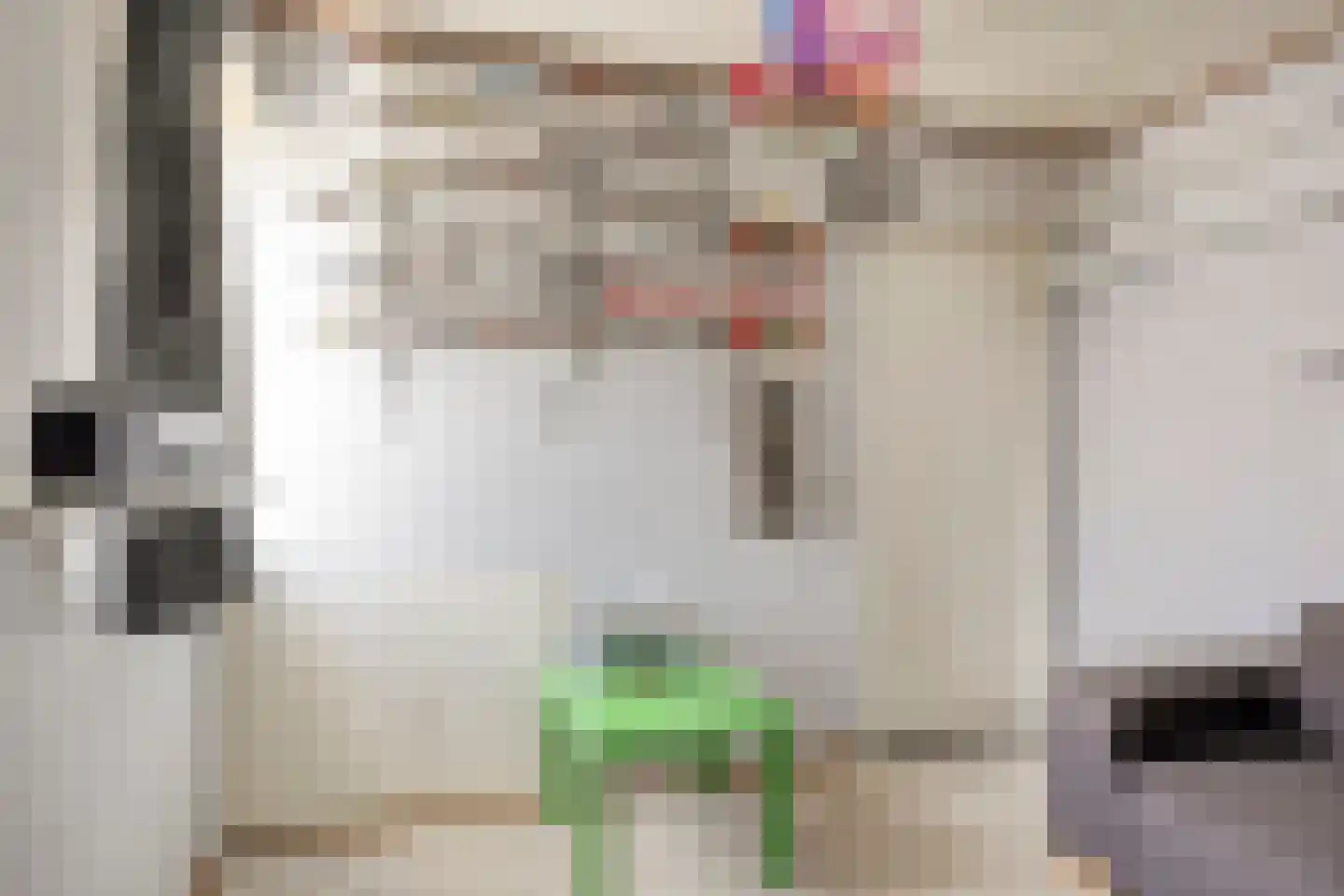 Pannenschuurlaan 25 Oisterwijk thumbnail 35