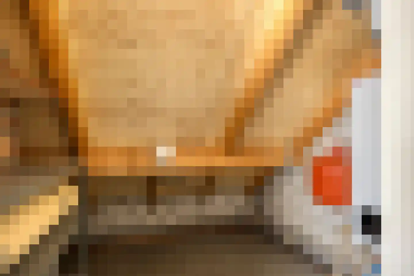 Pannenschuurlaan 25 Oisterwijk thumbnail 36