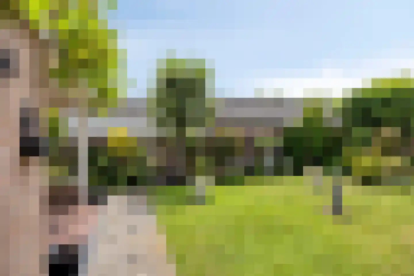 Pannenschuurlaan 25 Oisterwijk thumbnail 37