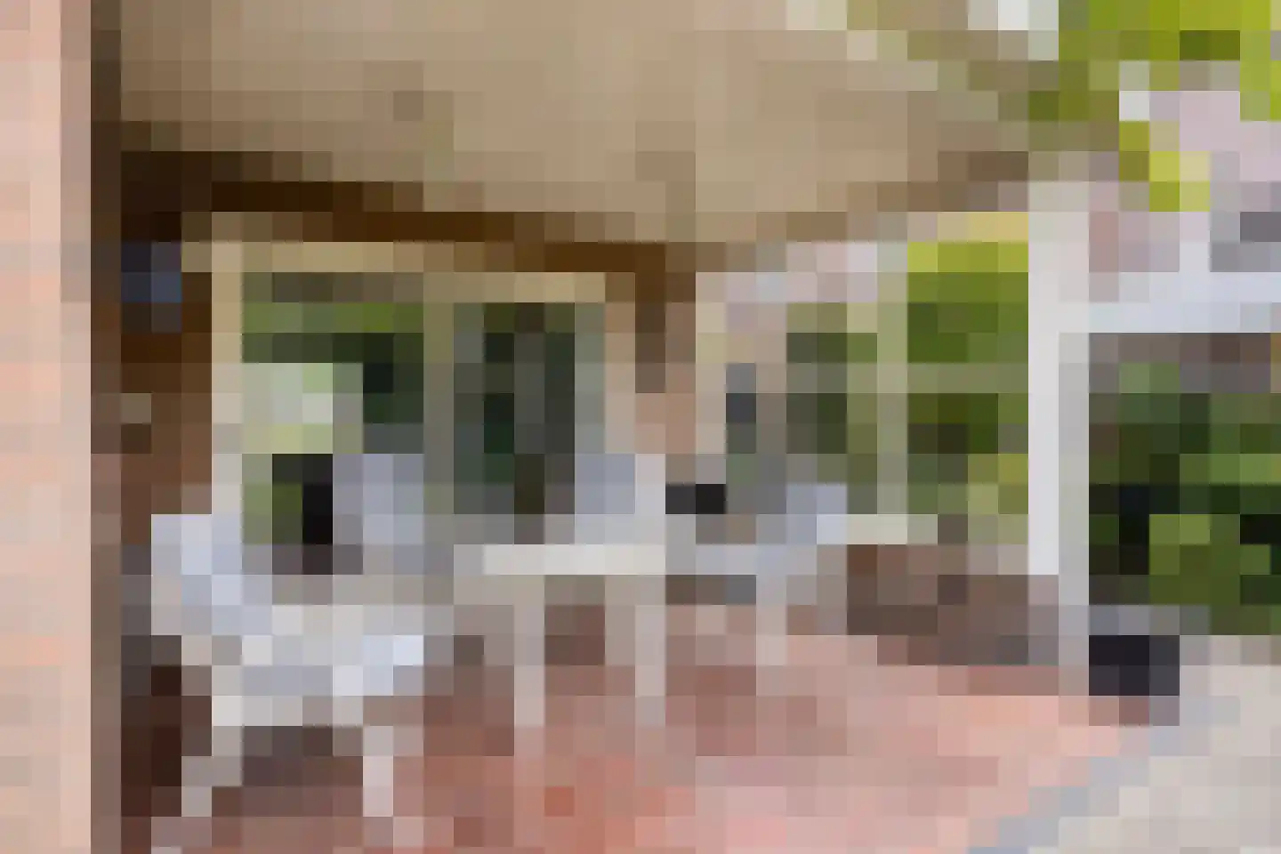 Pannenschuurlaan 25 Oisterwijk thumbnail 38
