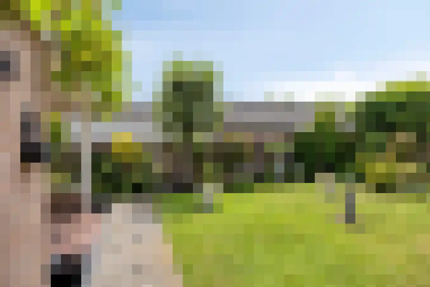 Pannenschuurlaan 25 Oisterwijk thumbnail 38