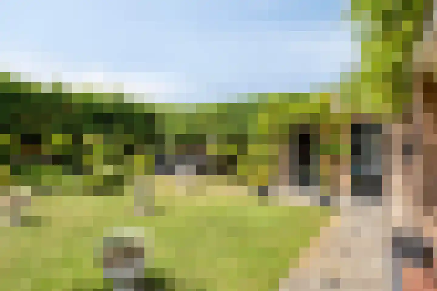 Pannenschuurlaan 25 Oisterwijk thumbnail 39