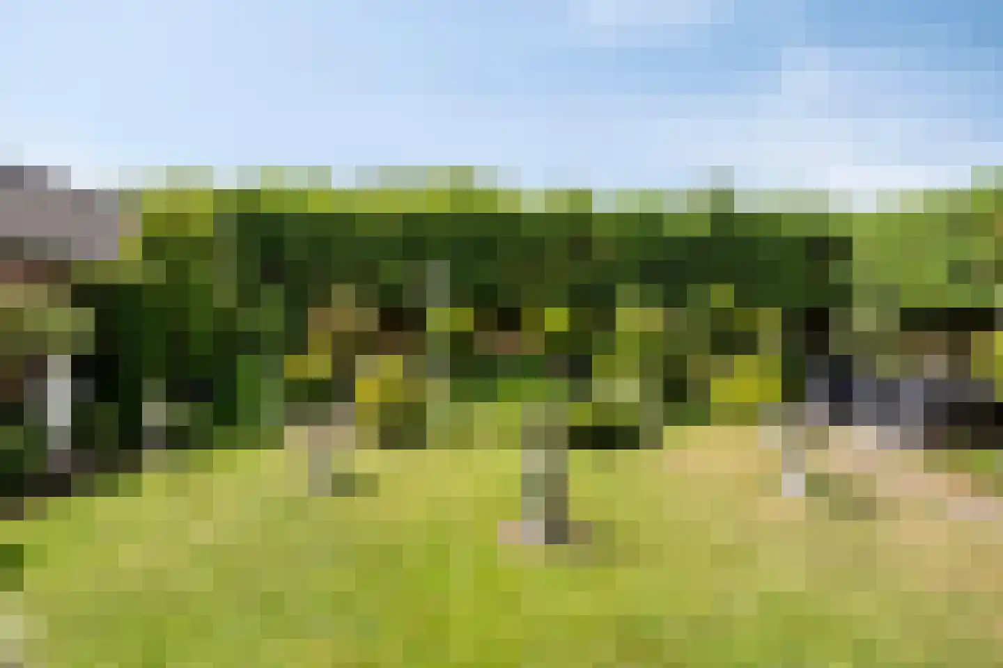 Pannenschuurlaan 25 Oisterwijk thumbnail 41