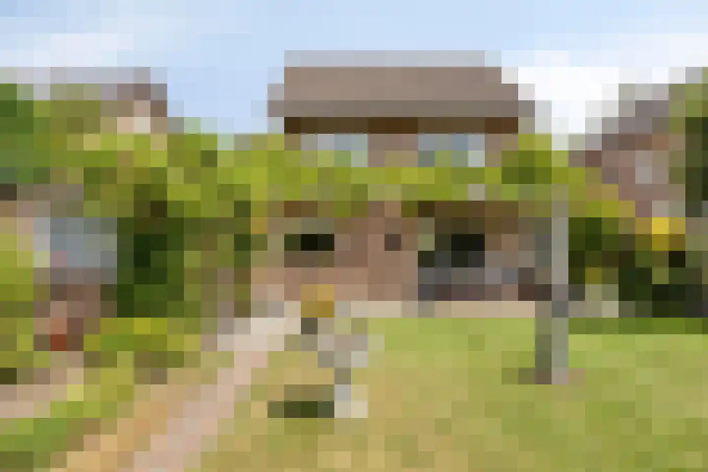 Pannenschuurlaan 25 Oisterwijk thumbnail 42